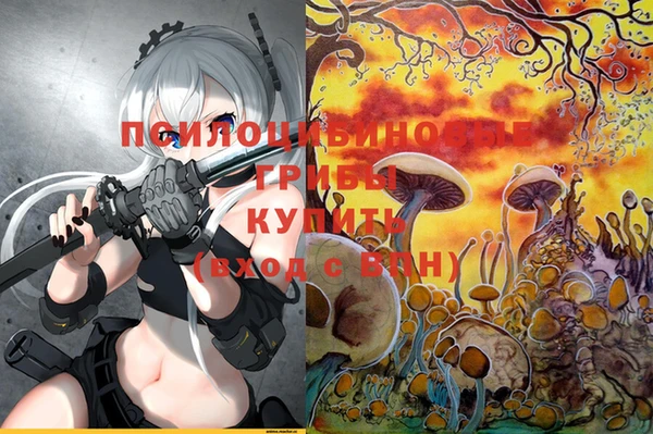 гидропоника Алзамай