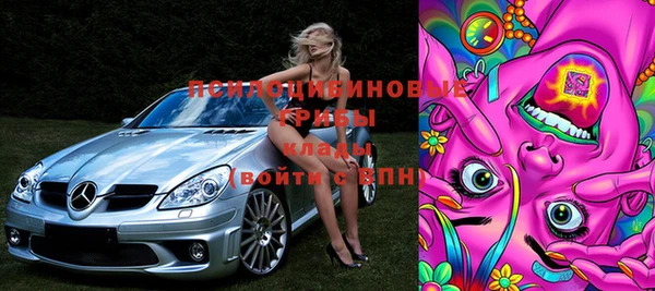 прущие грибы Абаза