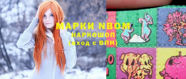 гидропоника Алзамай